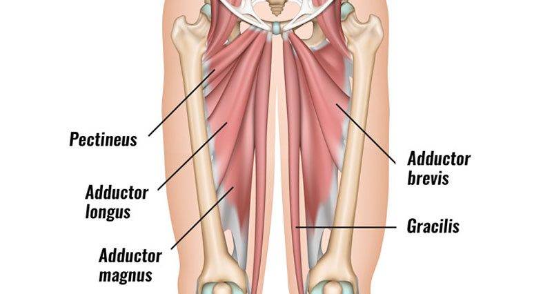 The Pulled Groin Injury: Symptoms, Treatment And Recovery Time
