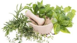 Herbal Remedies For Anxiety