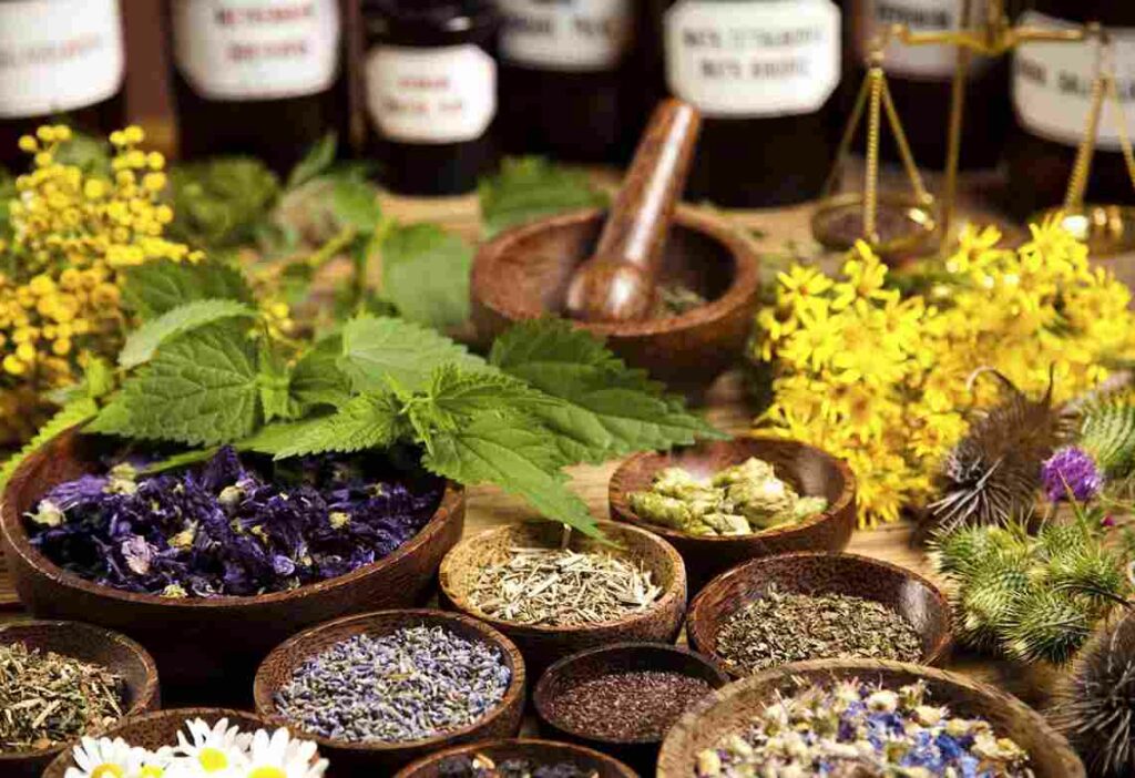 Herbal Remedies For OCD