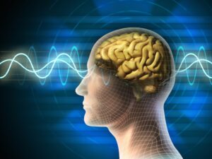 Negative Impacts of Neurofeedback