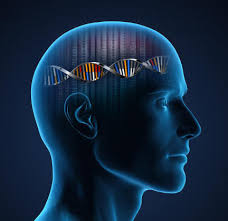 Cognitive Theory