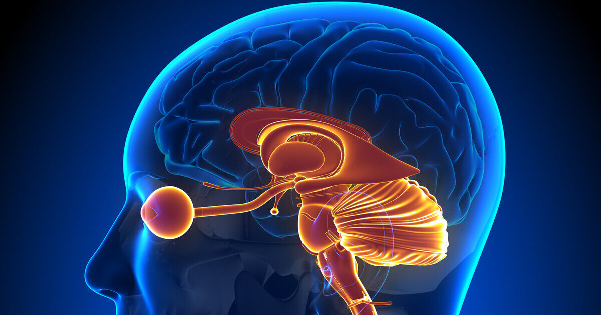 Brain Spotting Therapy : What is It, Techniques and Benefits of It