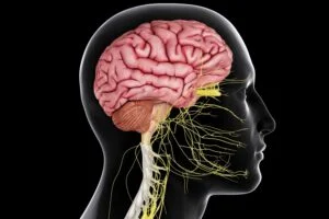 Treatment Approaches Used By Neurological Psychologists