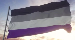 asexual flag