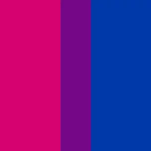 understanding bisexuality