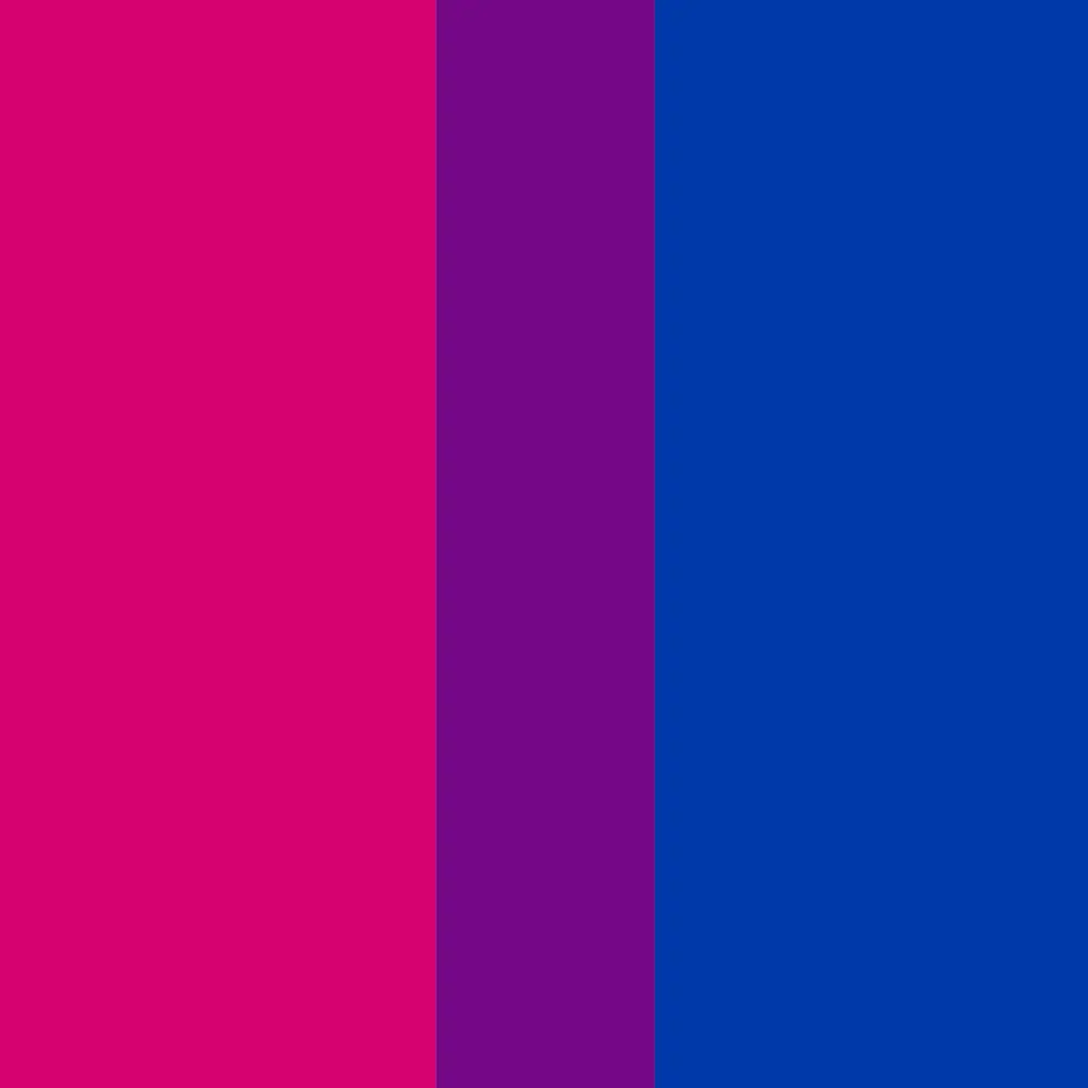 understanding bisexuality