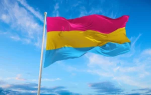 pansexual flag