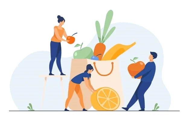 online diet plan